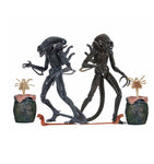 NECA  7" Scale Action Figure&nbsp; Aliens 1986 Aliens Warrior