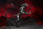 NECA  7" Scale Action Figure Aliens Night Cougar