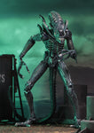 NECA  7" Scale Action Figure&nbsp; Aliens 1986 Aliens Warrior