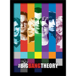 BIG BANG THEORY FRAMED PICTURE