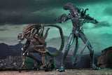 NECA  7" Scale Action Figure&nbsp; Aliens 1986 Aliens Warrior