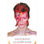 DAVID BOWIE - ALADDIN SANE MAXI POSTER