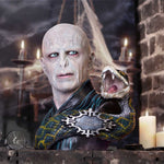 Harry Potter Lord Voldemort Bust 30.5cm